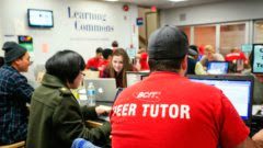 Man with grey ball cap wearing a red t-shirt with words, BCIT Peer Tutor, printed on back in white letters.