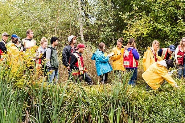 BCIT Class learning in the Living Lab of Guichon Creek.