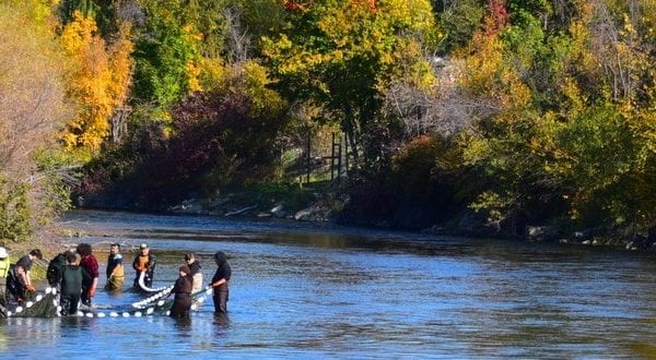 students in a river surrounded by trees