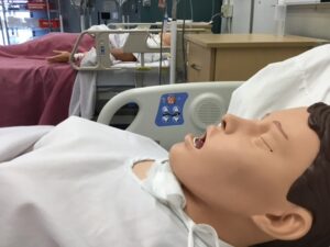 manikin in skills simulation lab