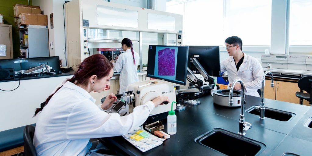 image of students in medical laboratory.