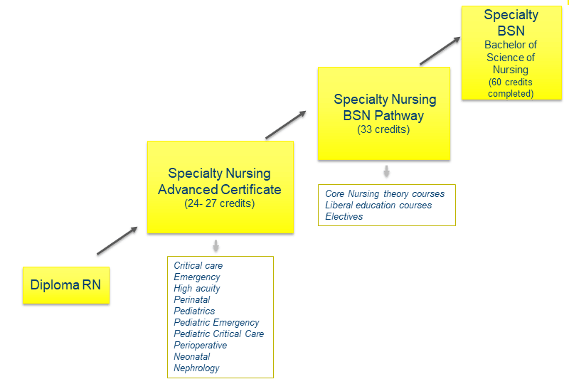 specialty nursing BSN Pathway diagram