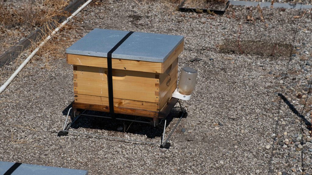 A bee hive on a roof at BCITs Burnaby Campus