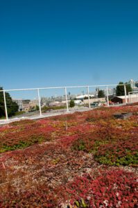 green roofs