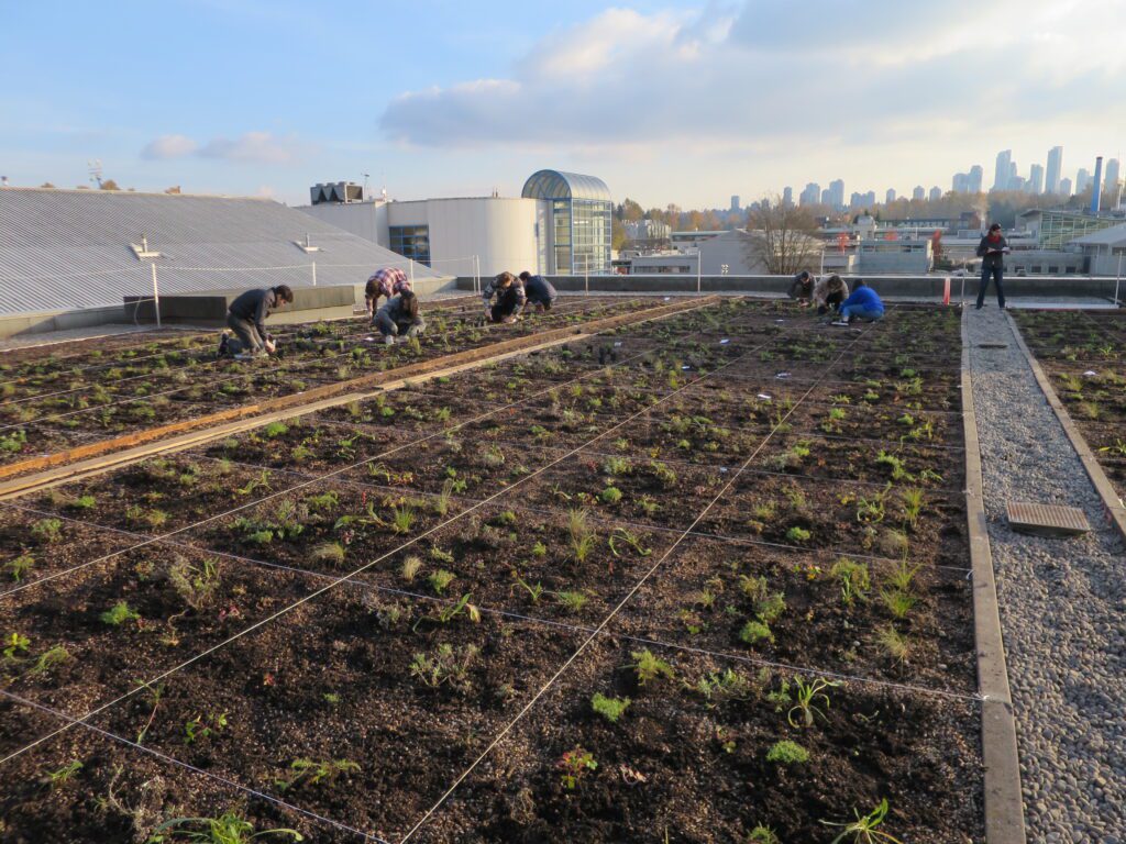 people planting