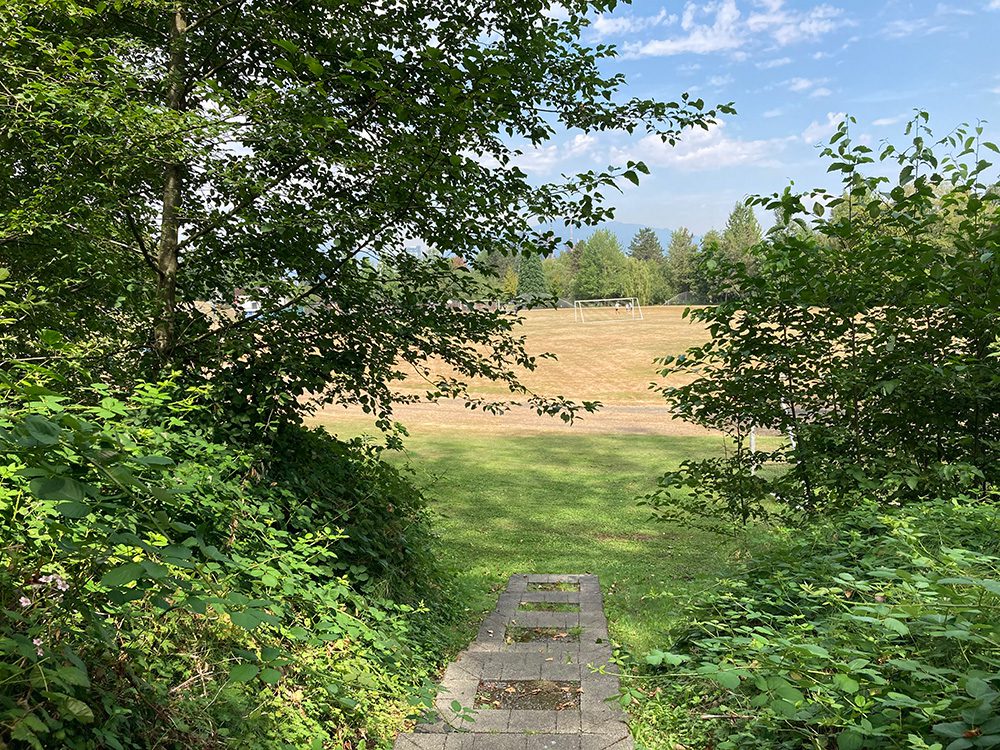 Guichon Trail-opening onto track